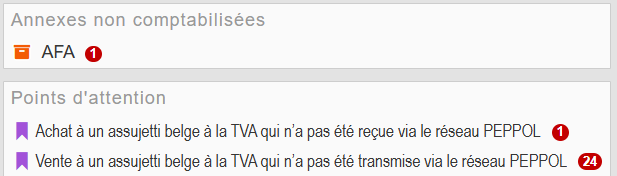 Points d'attention PEPPOL